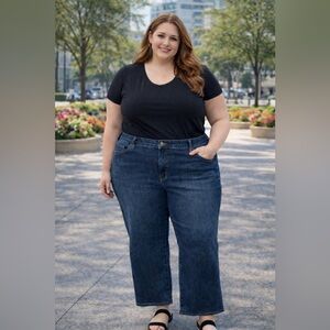 Lane Bryant Petite Plus 24P High Rise Straight Leg Jeans Dark Wash Stretch